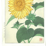 Kawarazaki Shodo - F87  Himawari (Sunflower) - Free Shipping