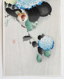 Ohara  Koson - Ajisai ni suzume  (Sparrow on Hydrangea) - Free Shipping