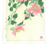 Kawarazaki Shodo - F53 Sazanka (Camellia) - Free Shipping