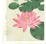 Kawarazaki Shodo - F57 Suiren (Water Lily) - Free Shipping