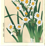 Kawarazaki Shodo - F116 Suisen (Narcissus)  - Free Shipping