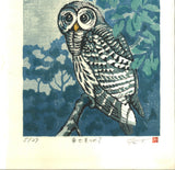 Takenaka Fu - Shiawase mitsumete (Staring at happiness) (Limited Edition 27)  - Free Shipping