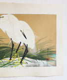 Tsuchiya Rakuzan - Hanasekishow ni Minoshirasagi - Free Shipping　
