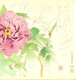 Matsuo Toshio - Peony - Japanese traditional woodblock print Limited Edition - Free Shipping