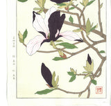 Kawarazaki Shodo - F077  Mokuren (Magnolia) - Free Shipping