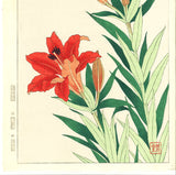 Kawarazaki Shodo - F67 Kanoko Yuri (Red Star Lily)  - Free Shipping