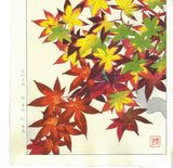 Kawarazaki Shodo - F120  Kouyou (Autumn leaves) - Free Shipping