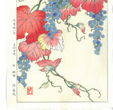 Osuga Yuichi - Yama Budo (Mountain grape) - Free Shipping