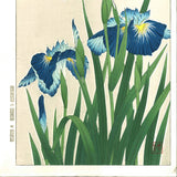 Kawarazaki Shodo - F3 Hanashobu (Japanese Iris) - Free Shipping