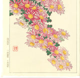 Kawarazaki Shodo - F36 Kiku (Chrysanthemum) - Free Shipping