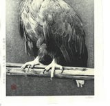 Kitamura  Shoichi - # KS3  Washi  (Eagle)  First Edition 2022 - Free Shipping