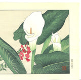 Tanigami Konan (1879~1928) -  Color lily - Free Shipping　　