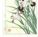 Kawarazaki Shodo - F004  Iris - Free Shipping