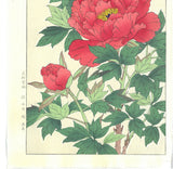 Kawarazaki Shodo - F11 Botan ( Peony) - Free Shipping