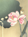 Ohara  Koson - Hasu ni suzume (Lotus and sparrow) - Free Shipping