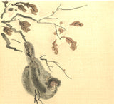 Maruyama Okyo -  Monkey in Snow - Free Shipping