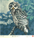 Takenaka Fu - Shiawase mitsumete (Staring at happiness) (Limited Edition 27)  - Free Shipping