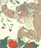 Kawanabe Kyosai - Saru (Monkey) - Free Shipping