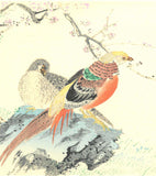 Imao Keinen - Koubai (Red Plum & Birds) - Free Shipping