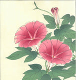 Kawarazaki Shodo - F61 Asagao (Morning glory) - Free Shipping