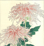 Osuga Yuichi - F180 Kiku (Chrysanthemum) - Free Shipping