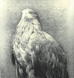 Kitamura  Shoichi - # KS3  Washi  (Eagle)  First Edition 2022 - Free Shipping