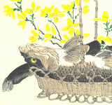 Kawanabe Kyosai - Koi to Namazu ( Caro & Catfish) - Free Shipping
