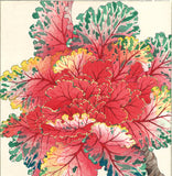 Kawarazaki Shodo - F128 Habotan (Ornamental Cabbage) - Free Shipping