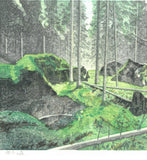 Mibugawa Junichi - Toboku no Mori  (Forest of fallen trees)  (倒木の森)  - Free Shipping