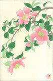 Kawarazaki Shodo - F53 Sazanka (Camellia) - Free Shipping