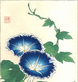 Kawarazaki Shodo - F60 Asagao (Morning glory) - Free Shipping