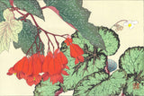 Tanigami Konan (1879~1928) -  Begonia - Free Shipping　　