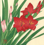 Kawarazaki Shodo - F7 Gladiolous - Free Shipping