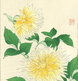 Kawarazaki Shodo - F42 Dahlia - Free Shipping