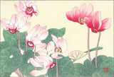 Tanigami Konan (1879~1928) -  Cyclamen - Free Shipping　　