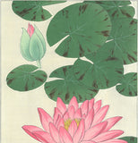 Kawarazaki Shodo - F57 Suiren (Water Lily) - Free Shipping