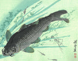 Kawanabe Kyosai - Kawazakana(Carp) - Free Shipping