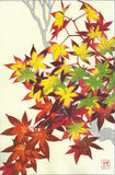 Kawarazaki Shodo - F120  Kouyou (Autumn leaves) - Free Shipping