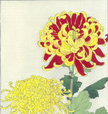 Kawarazaki Shodo - F032 Kiku (Chrysanthemum)  - Free Shipping