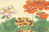 Tanigami Konan (1879~1928) -  Calceo Lario - Free Shipping　　