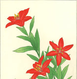 Kawarazaki Shodo - F69 Hime Yuri (Red Star Lily)  - Free Shipping