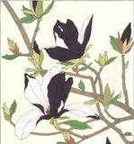Kawarazaki Shodo - F077  Mokuren (Magnolia) - Free Shipping