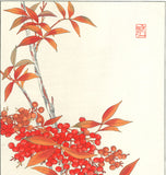 Osuga Yuichi - F181 Nanten (heavenly bamboo) - Free Shipping