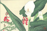 Tanigami Konan (1879~1928) -  Color lily - Free Shipping　　