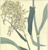 Kuzuhara Teru - F158  Ashi　あし (Reed) -  Free Shipping