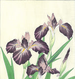 Kawarazaki Shodo - F1 Kakitsubata (Iris) - Free Shipping