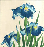 Kawarazaki Shodo - F3 Hanashobu (Japanese Iris) - Free Shipping