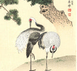 Maruyama Okyo - Tsuru Zu (Twin crane & Green Pine tree)  - Free Shipping