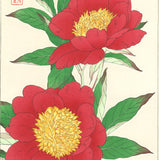 Kawarazaki Shodo - F12 Shakuyaku ( Peony) - Free Shipping