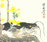 Kawanabe Kyosai - Koi to Namazu ( Caro & Catfish) - Free Shipping